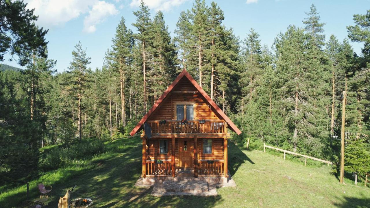 Holiday Home Aster Žabljak 外观 照片